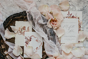 Fall Autumn set- Pumpkins & Florals, a Seasonal Illustration by Grace Noboa Illustrations (Thumbnail 3 of 13)