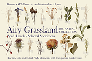 Botanical PNG Elements – 36 Meadow P, an Object Graphic by Aga Silva (Thumbnail 2 of 28)