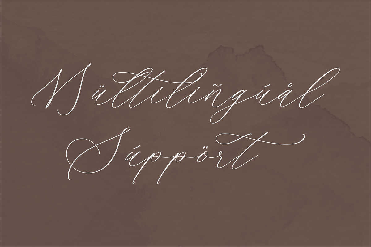 Ramsttale Chelliria Chic Calligraphy, a Script Font by Storytype Studio (Photo 10 of 12)
