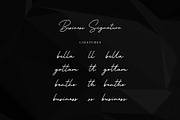 Business Signature - Font, a Script Font by Nirmana Visual (Thumbnail 5 of 7)