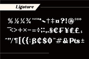 Alestair - Sans Serif Display Font, a Sans Serif Font by Rishsketch (Thumbnail 14 of 15)