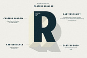 Whole Store Bundle | 95 OFF, a Serif Font by Swistblnk Std. (Thumbnail 12 of 60)