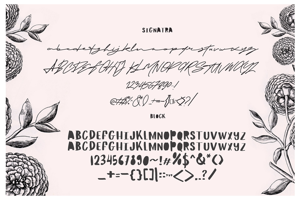 Maldina Feminime (4 fonts) preview 8
