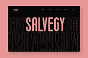 Salvegy Elegant & Tall Sans Serif, a Sans Serif Font by Lettertype Studio (Thumbnail 10 of 15)