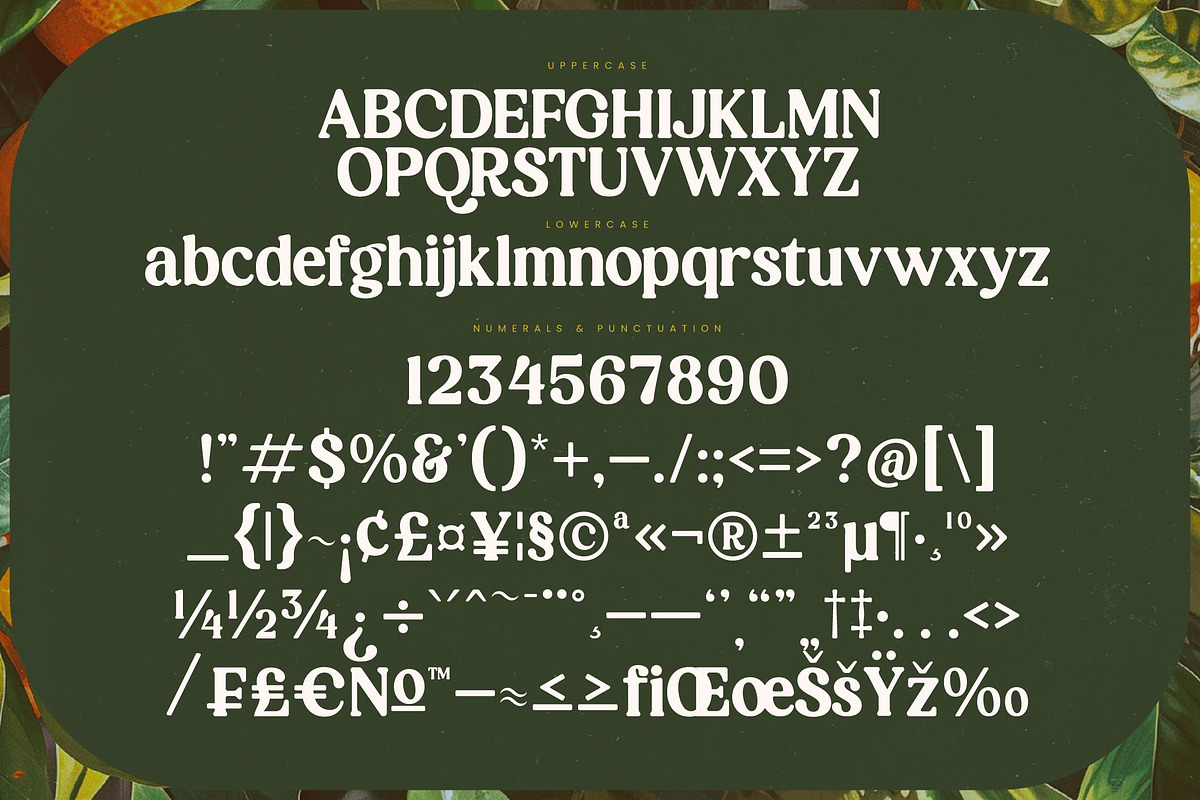 Magics Flavor Retro Modern Serif, a Serif Font by timelesstype.co (Photo 18 of 20)