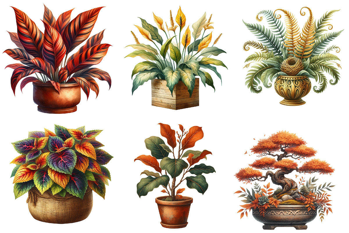 Positive Autumn Houseplant Clipart, an Illustration by Watercolor design (Photo 2 of 4)