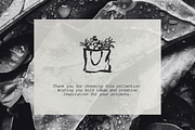 Organic Market 116 Ink Illustrations, a Food Illustration by Veyla (Thumbnail 15 of 15)