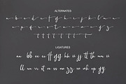 Aunther Signature, a Handwritten Font by Rotterlab Studio (Thumbnail 9 of 11)