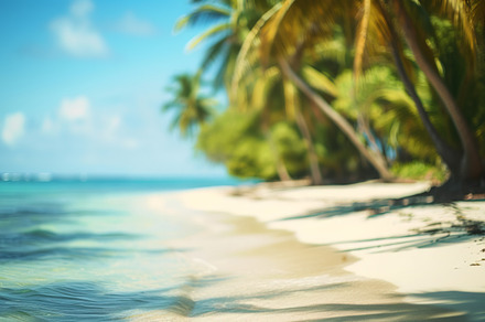 A softly blurred vision of a tropical beach, an Abstract Photo by Natalia Klenova's Shop