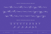 Wonderful Calligraphy, a Handwritten Font by RockboyStd (Thumbnail 4 of 12)