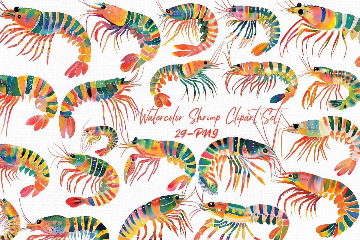 Watercolor Shrimp Clipart Set, an Illustration by Libby Wishes (Photo 1 of 8)