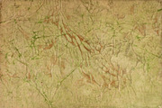 Vellum Textures, a Texture Graphic by Blue Line Design (Thumbnail 11 of 21)