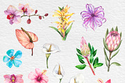 Watercolor Tropical BIG BUNDLE PNG, a Seasonal Illustration by PatternPalette (Thumbnail 8 of 15)