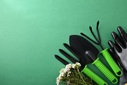 Garden Tools, Gloves and Flowers Flat Lay, a Nature Photo by Davizro's Market (Thumbnail 1 of 2)