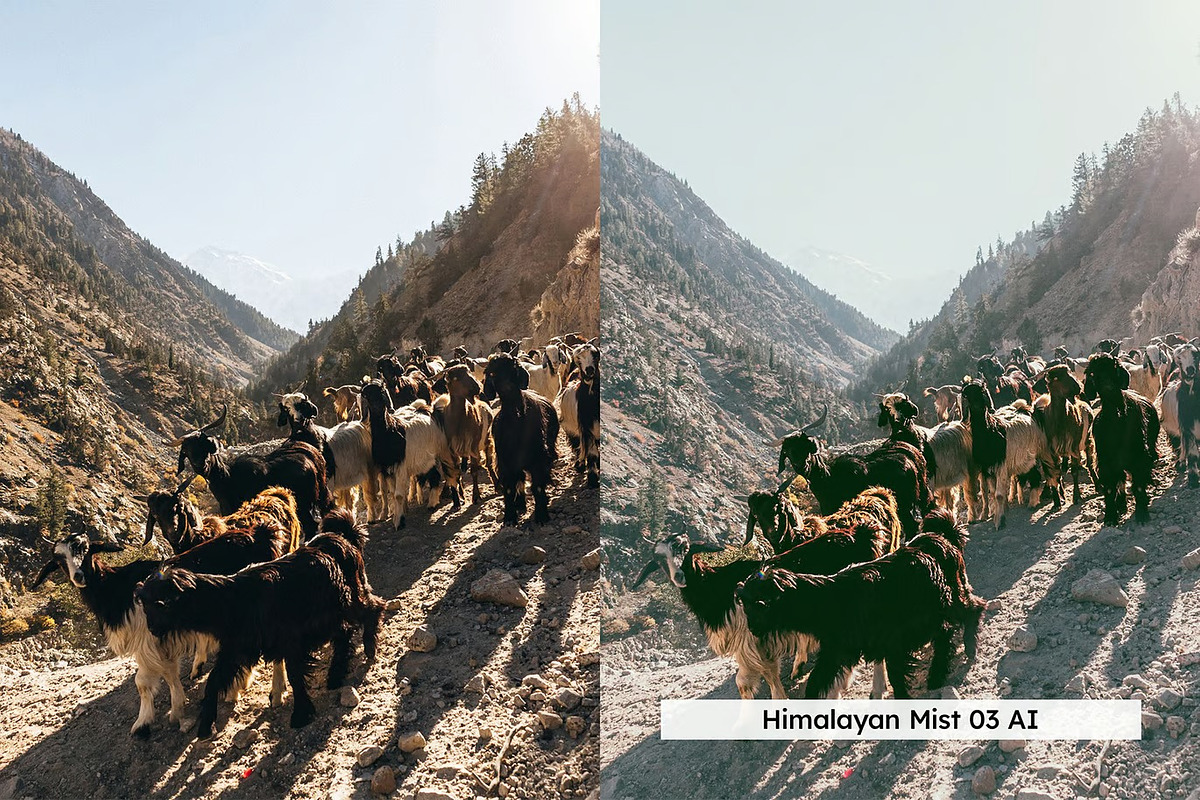 20 Himalayas Lightroom Preset & LUTs, a Preset Add-On by skybluecreative (Photo 3 of 13)