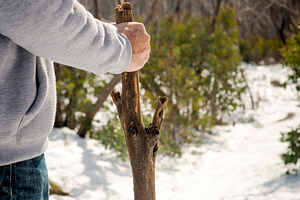 Senior Man With Walking Stick, a Person Photo by THP Creative