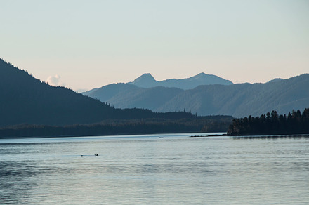 Whale Showing it's Tale, Alaska