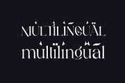 Kariin Ligature Serif Typeface, a Serif Font by Humaira_std (Thumbnail 9 of 11)