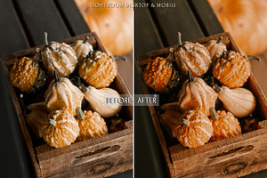 Pumpkin Spice Fall Lightroom Preset