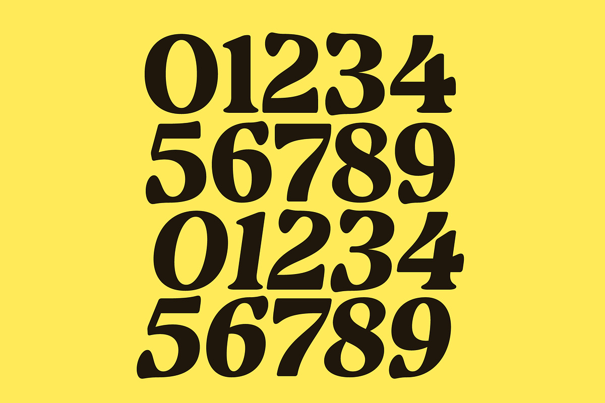 Volkgen Bold Modern Display Serif, a Serif Font by timelesstype.co (Photo 6 of 15)