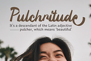 Silintho - Bold Script font, a Script Font by Attype (Thumbnail 5 of 8)