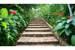 Beautifully crafted stone staircase, a Nature Photo by Lermont51