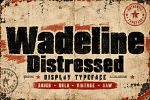 Wadeline Distressed