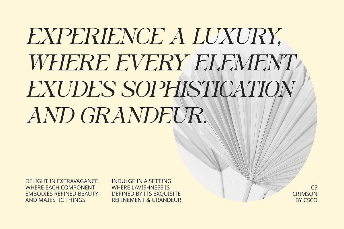 CS Crimson – Classic Font, a Serif Font by Craft Supply Co. (Photo 4 of 8)