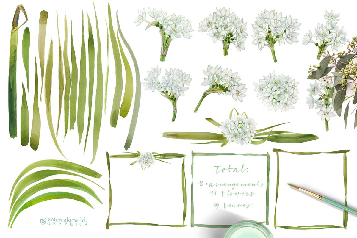 White Spring-Paperwhites, an Illustration by watercolorwild.graphics (Photo 3 of 7)