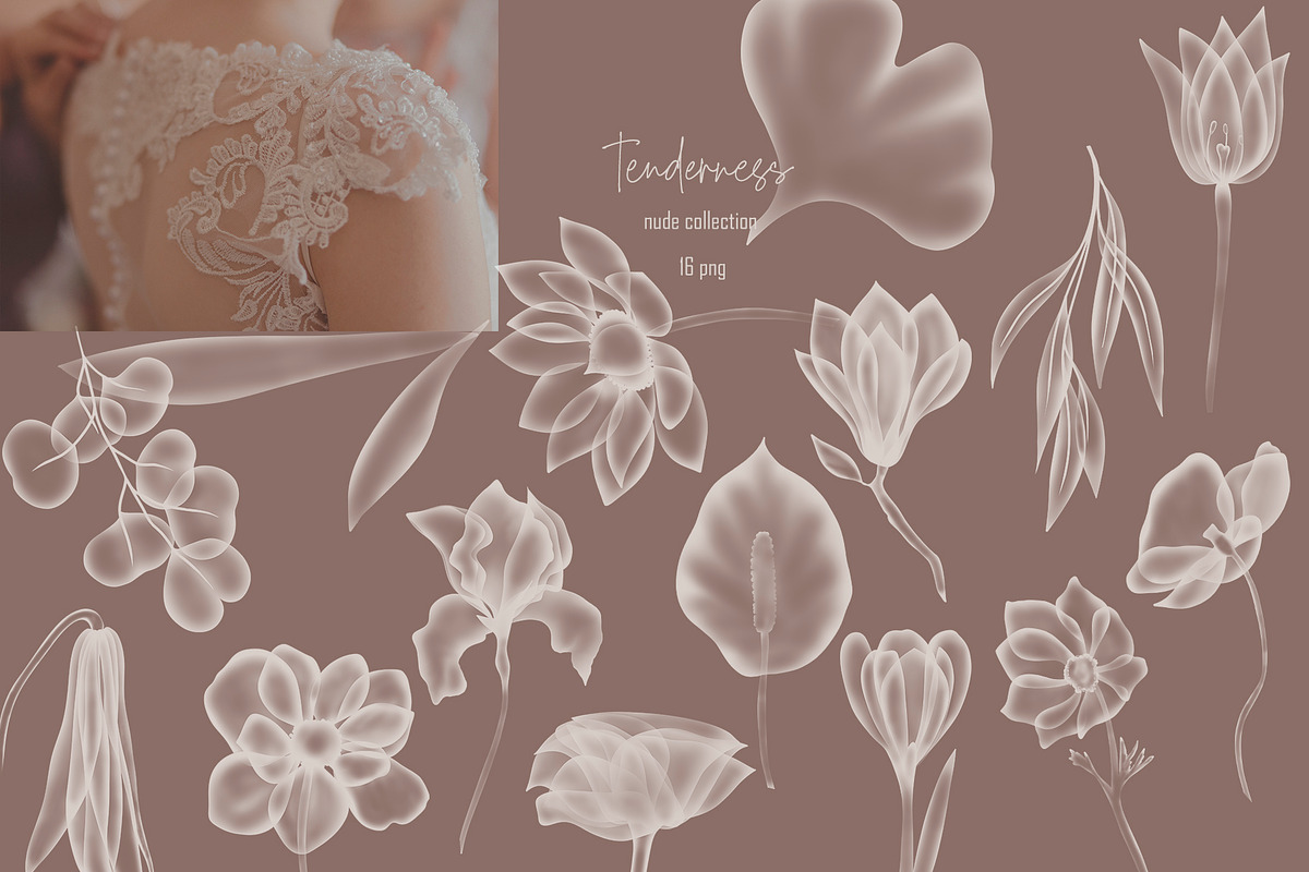 TRANSPARENT FLORA abstract BUNDLE, a Texture Illustration by ArtOLB (Photo 6 of 14)