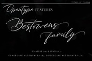 Bestowens Family, a Script Font by Letterara (Thumbnail 4 of 16)
