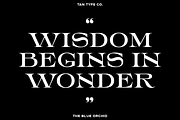 TAN - THE BLUE ORCHID, a Serif Font by TanType (Thumbnail 2 of 12)