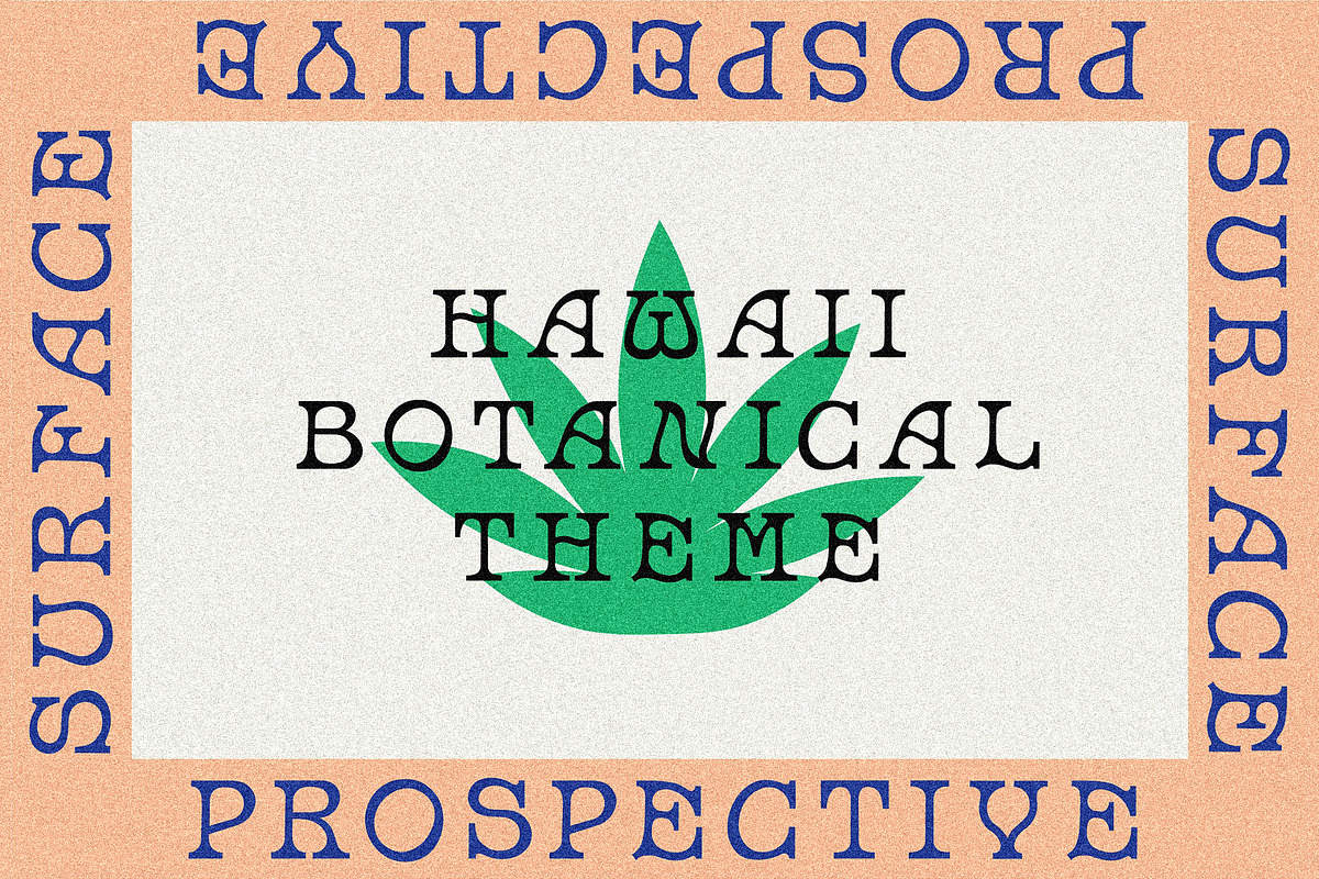MC Suisse, a Font by McLetters (Photo 5 of 7)
