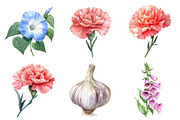 Watercolor Vintage Botanical Clipart, a Seasonal Illustration by CitraGraphics (Thumbnail 5 of 9)