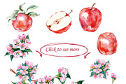 Watercolor apples., an Object Graphic by Gulnara Khadeeva (Thumbnail 2 of 4)
