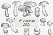 Set of Edble Hand Drawn Mushrooms, an Object Graphic by NataliArkushArt (Thumbnail 1 of 4)