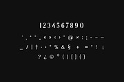 Anthology Paradise Duo Elegant Font, a Serif Font by UICreative (Thumbnail 10 of 13)