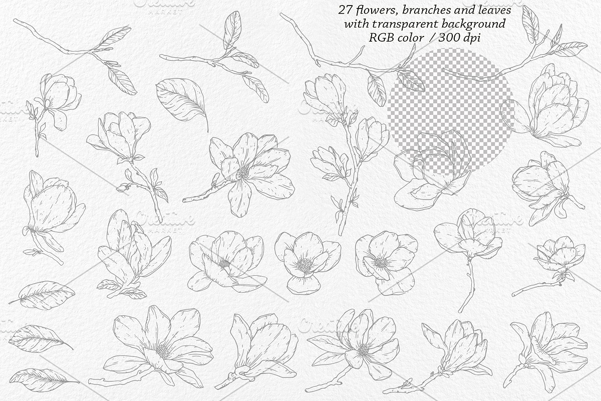 Magnolia Graphic Collection, a Decorative Illustration by Elly Studio (Photo 10 of 14)