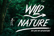 Wild Strokes, a Font by R4DS (Thumbnail 4 of 12)