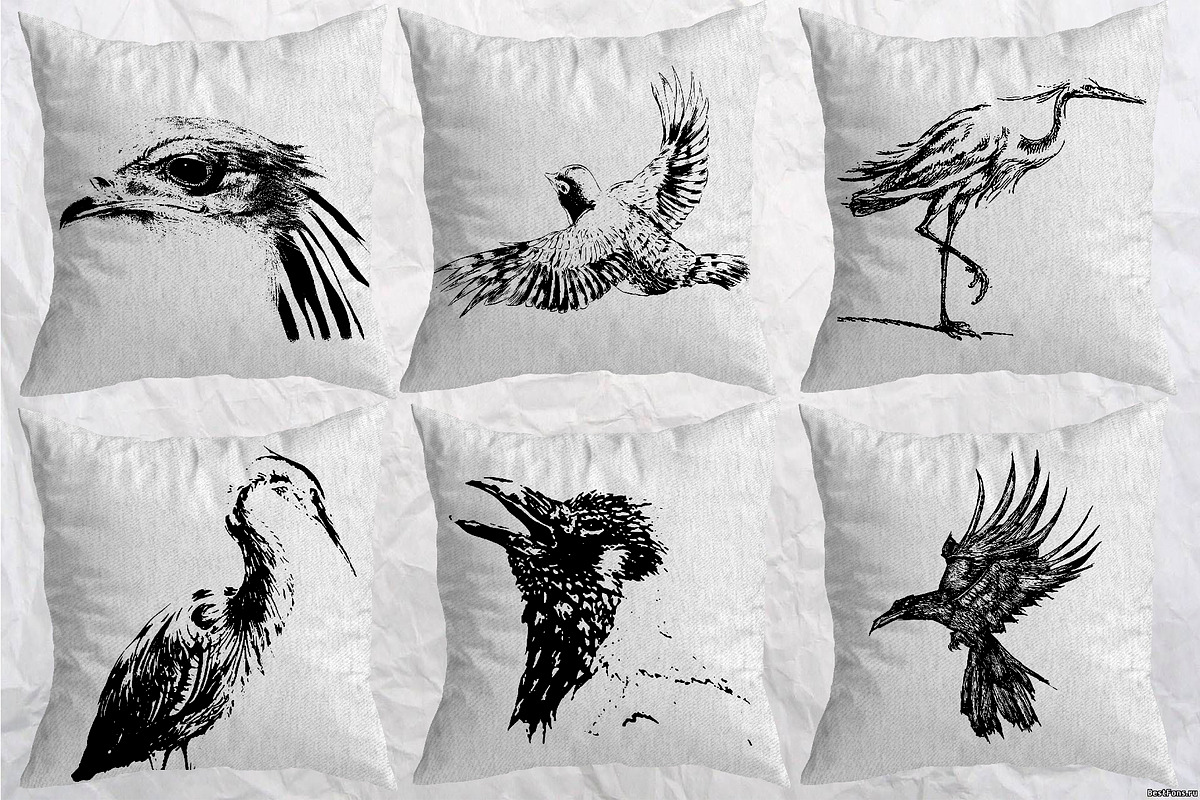 Birds set vector. Silhouette images, an Animal Illustration by AnastasiyaOleynik (Photo 4 of 8)