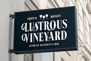 Demarun Font, a Serif Font by alit design (Thumbnail 17 of 20)