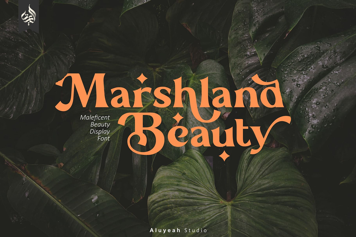 Marshland Beauty, a Font by Aluyeah Studio (Photo 1 of 15)