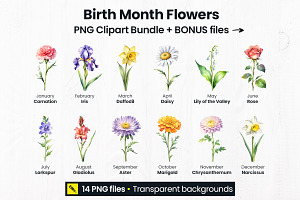 Birth Month Flowers Clipart PNG