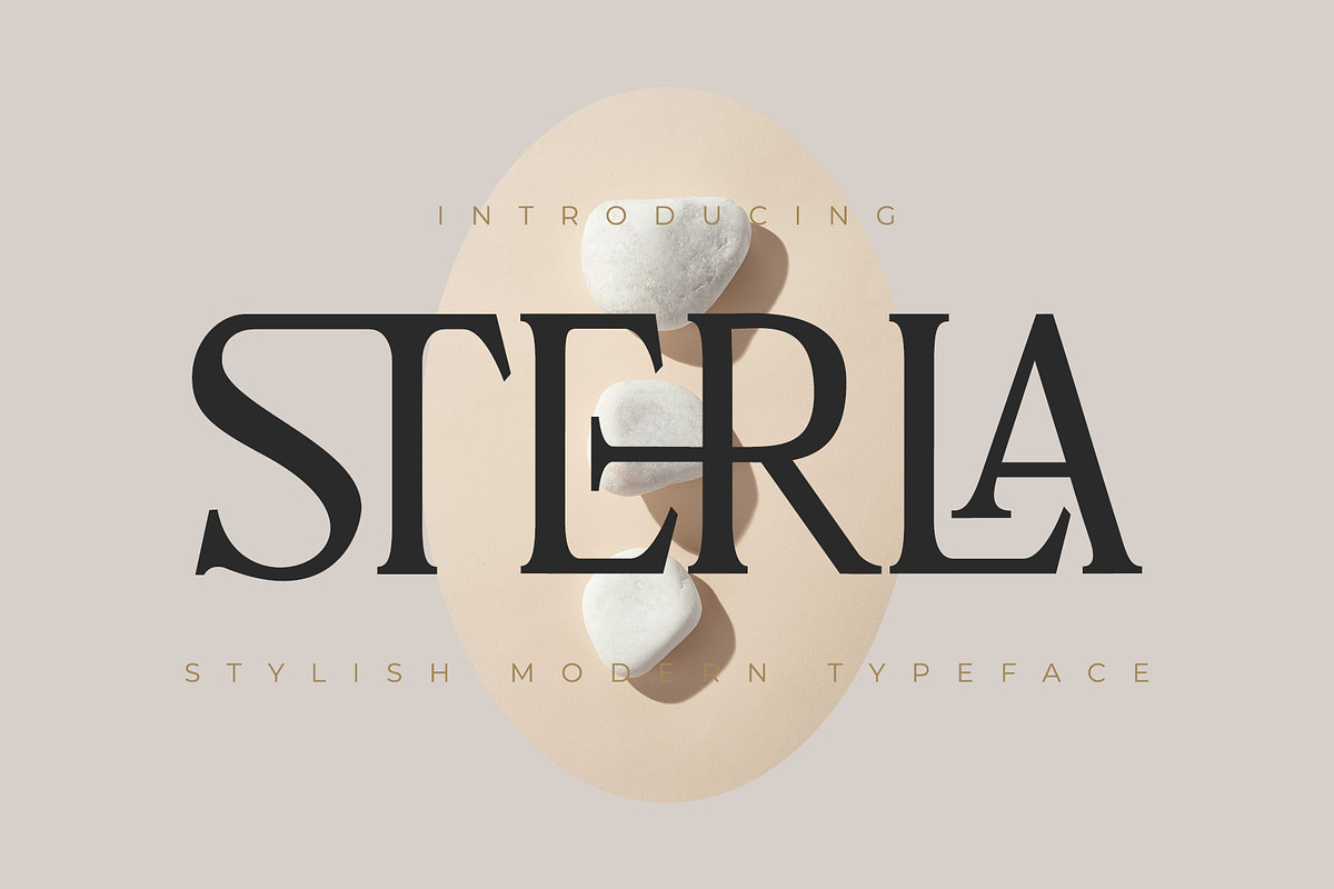 Sterla modern stylish typeface, a Serif Font by Font Kingdom (Photo 1 of 9)