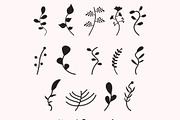 Hand Drawn Leaf Set Vector, an Illustration by M9 Design (Thumbnail 1 of 8)