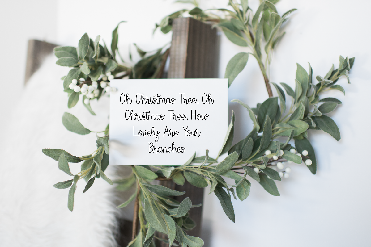 Farmhouse Christmas Script preview 4