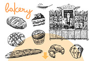 BIG set of food sketches, a Food Illustration by Steshnikova (Thumbnail 4 of 16)