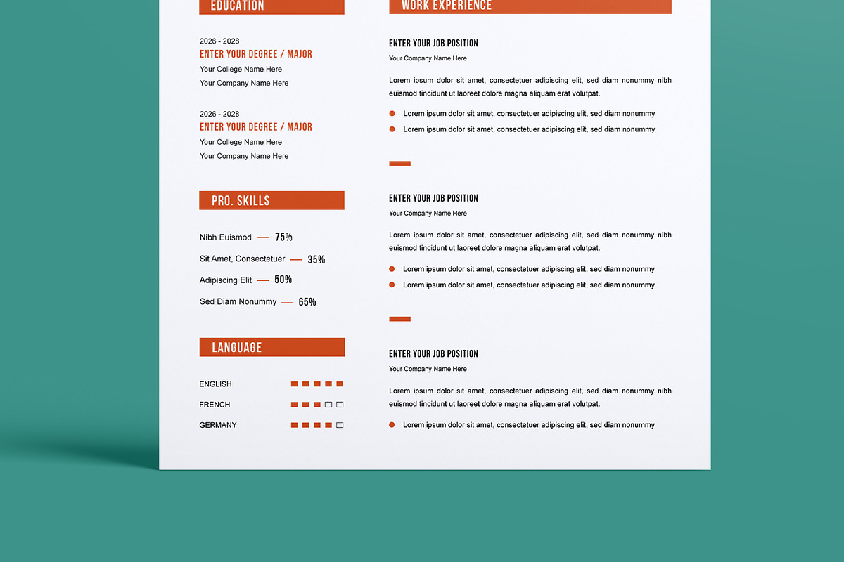 Resume Template Layout