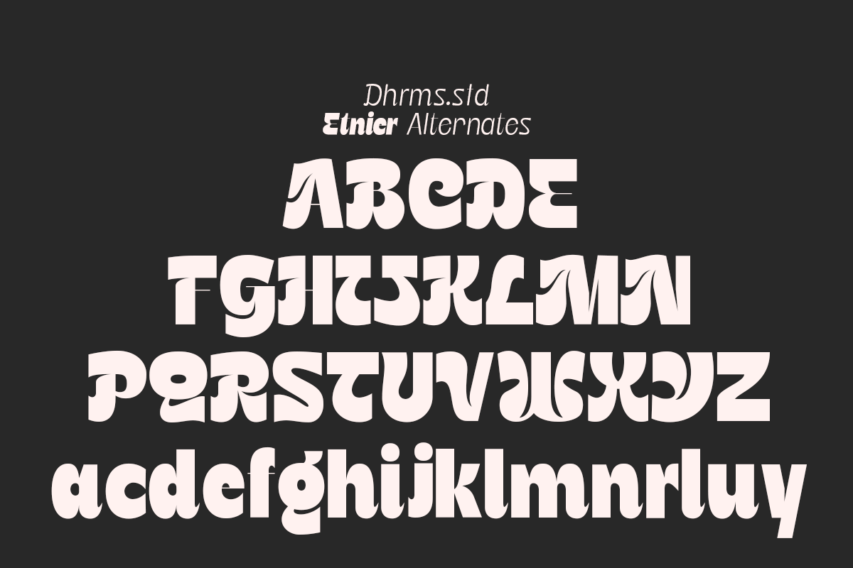 Etnier - 14 Modern Family, a Sans Serif Font by Dharmas Foundry (Photo 17 of 17)