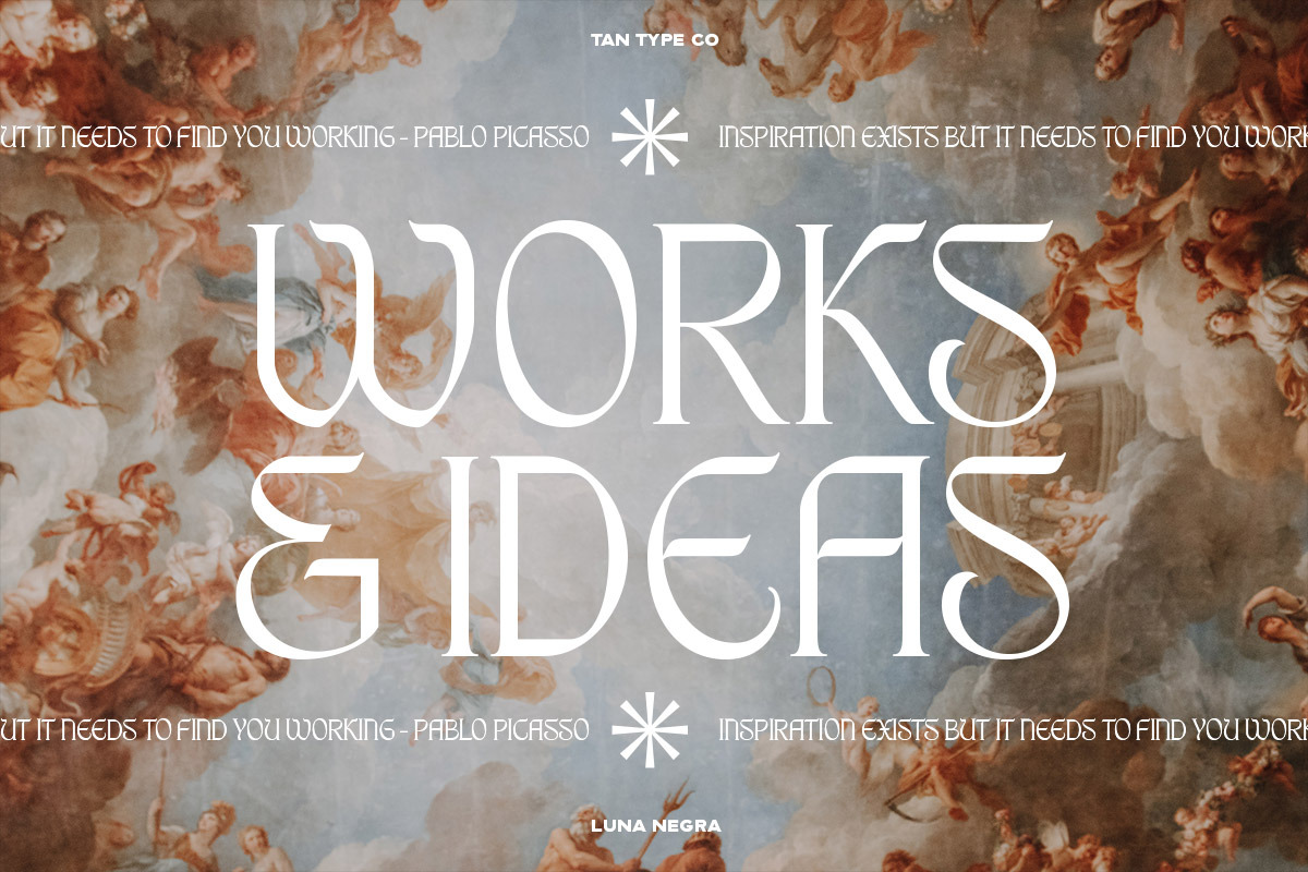 TAN - LUNA NEGRA, a Serif Font by TanType (Photo 5 of 16)